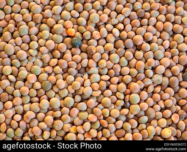 lentils pulse legumes vegetables vegetarian food useful as a background
