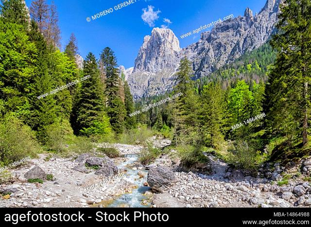 Italy, Trentino, Primiero San Martino di Castrozza, the lower Val Pradidali, in the background Cima Canali, Pale di San Martino group, Dolomites