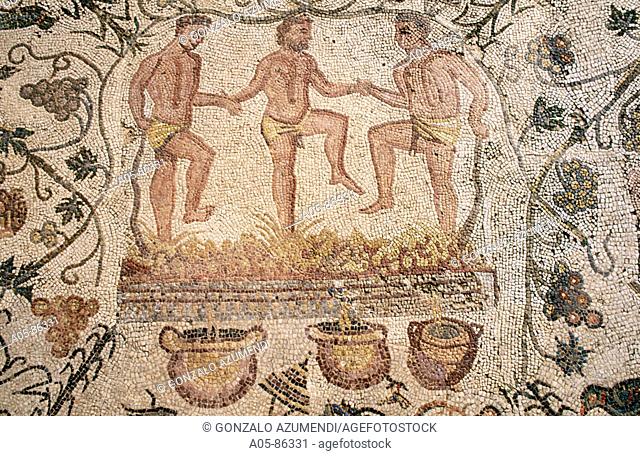 The Vintage. Treading of grapes. Room of the autumn mosaic. Mosaic in the Amphitheatre. Mérida. Badajoz province. Extremadura. Spain