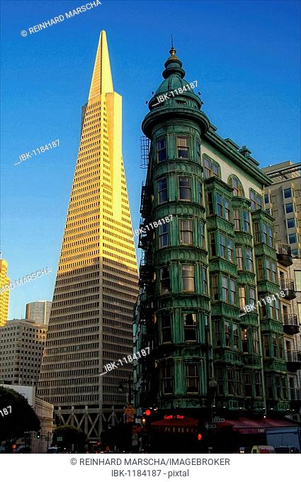 Transamerica Pyramid and Sentinel Building, San Francisco, USA, North America