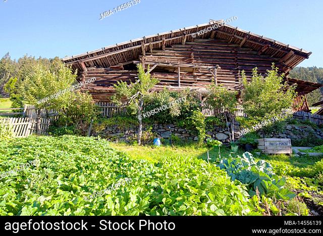 Vegetable garden in front of the barn at the mountain farm in the South Tyrolean Ulten Valley