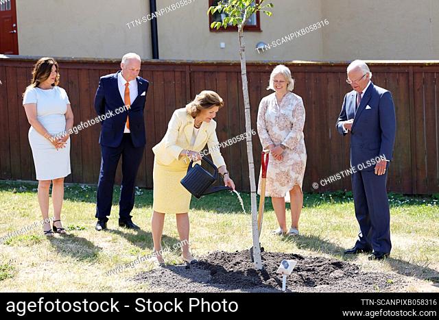 Swedens King Carl XVI Gustaf and Queen Silvia plant a walnut tree in Visby, Sweden, on June 14, 2023, during the royal visit to Gotland County to mark HM the...
