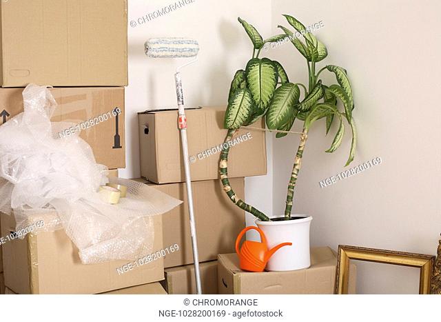 Moving Boxes, Ewer, House Plant, Painting Instrument, Picture Frame