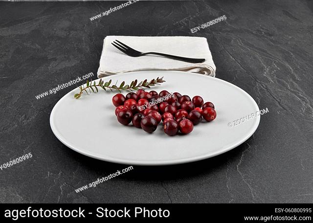 Cranberries auf Teller und Schiefer - Cranberries with plate on shale