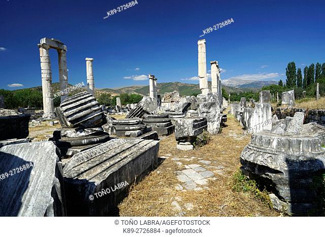 Temple of Aphrodite. Aphrodisias. Ancient Greece. Asia Minor. Turkey