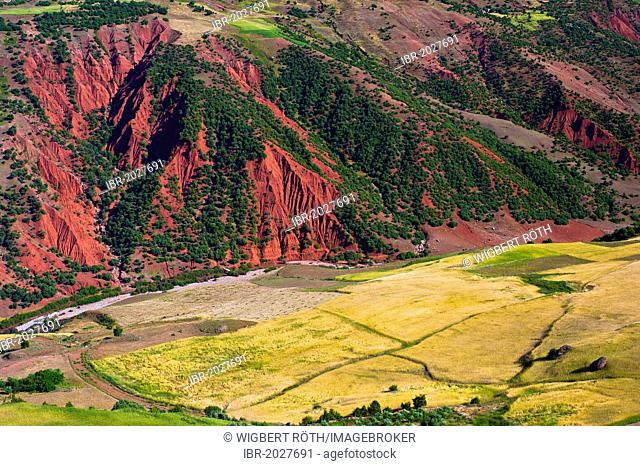 Mountain landscape with a river valley and cultivated fields, Middle Atlas Mountains, Morocco, Africa