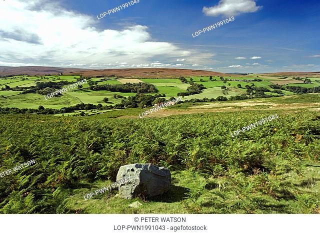 England, North Yorkshire, Commondale Moor. Looking across Commondale Moor towards distant heather-clad hills