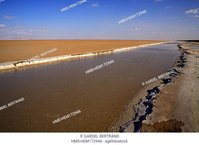 Tunisia, Southern Tunisia, Chott el Djerid, desert, salt in the process of formation