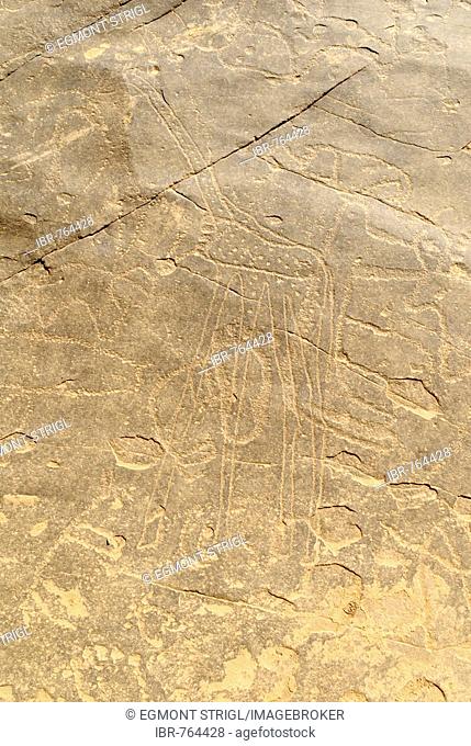 Prehistoric rock carvings, giraffe, La Dalle, Tin Tarabine, Tassili du Hoggar, Wilaya Tamanrasset, Algeria, Sahara, North Africa