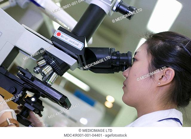A technician operates a microscope to get close-up with a patients blood sample which has been mounted on to a slide./nA patients blood is investigated to...