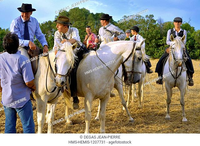 France, Herault, Serignan, annual feria, camarguais riders and horses of the Herd of bulls from the Manade Marge, group of guardians discussing together