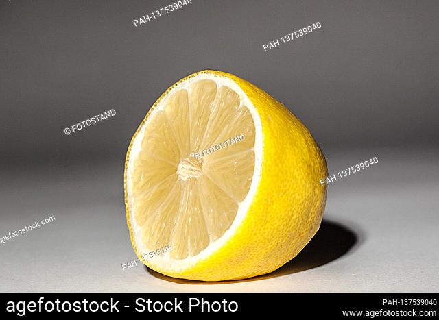 Bamberg, Germany November 22, 2020: Symbolbilder - 2020 - A sliced lemon, studio photography, white background, | usage worldwide