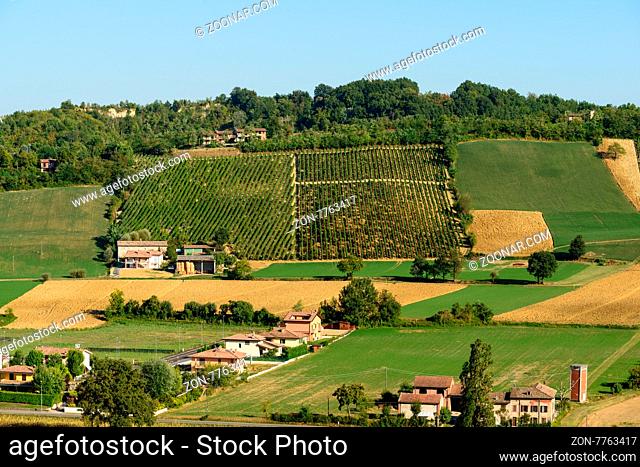 In the picture a beautiful view of the hills of Piacenza (Castell'Arquato) and its vineyards