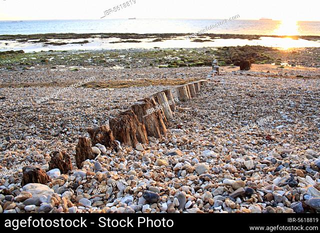 Remains of breakwater on beach with incoming tide at dawn, Bembridge, Isle of Wight, England, United Kingdom, Europe