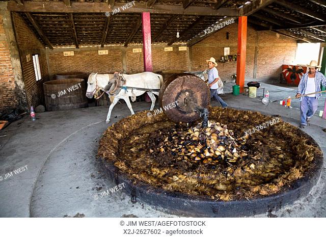 San Baltazar Chichicapam, Oaxaca, Mexico - A distillery where residents work cooperatively to produce mezcal. A horse pulls a stone which crushes the maguey...