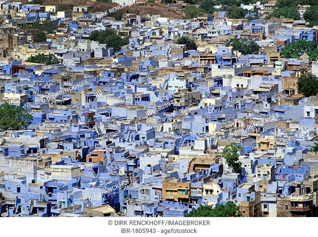 Blue houses of the Brahmins in Jodhpur, Rajasthan, India, Asia