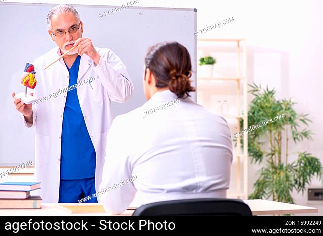 Experienced doctor cardiologist teaching young assistant