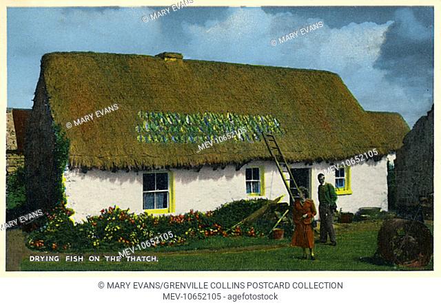 Drying fish on the thatch roof of a country cottage, Southern Ireland