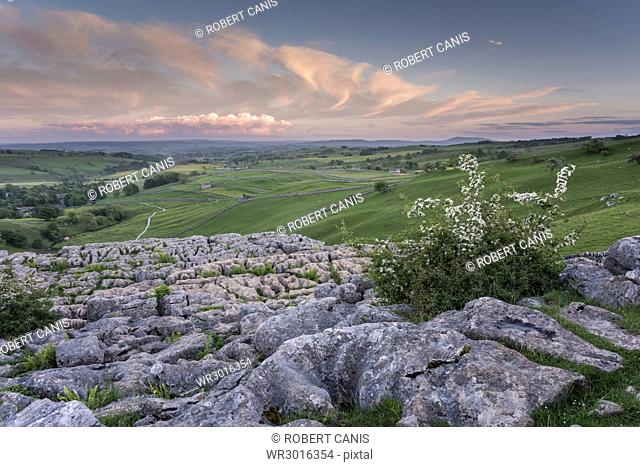 View of limestone pavement, Malham Cove, Malham, Yorkshire Dales National Park, North Yorkshire, England, United Kingdom, Europe