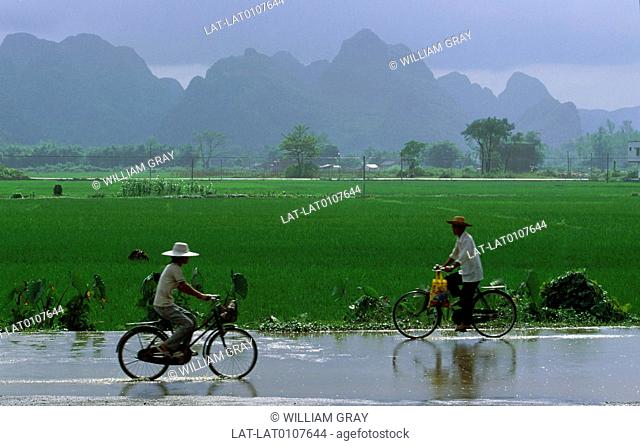 Plains, rice paddy fields. Rain on road. Two men on bicycles. Mountains, tall peaks. Mist, vapour rising