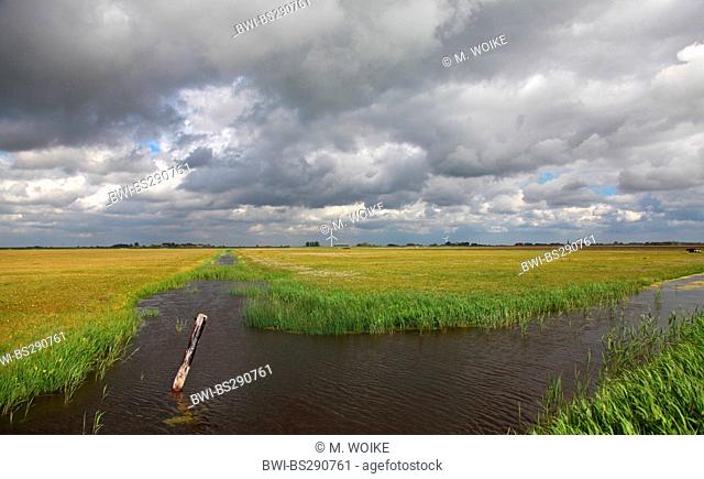rain clouds over meadows of Workumer Waard, Netherlands, Frisia