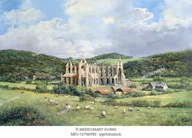 'Tintern Abbey, Gwent, Wales' – abbey ruins with sheep grazing in the foreground and hils in the background