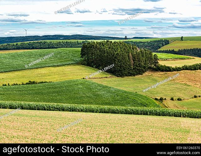 Panoramic view over the agriculture fields and meadows of the East-Belgian countryside near Burg-Reuland, Belgium