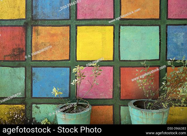 Ella, Sri Lanka Potted plants sit along a multicolored wall