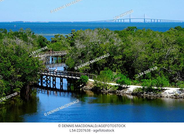 Walking Trail Boardwalk Robinson Preserve Nature Bradenton Florida FL US USA