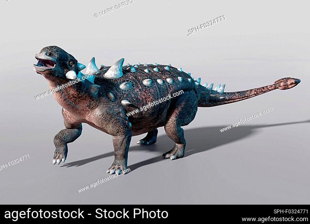 Illustration of an ankylosaurus, an armoured dinosaur that lived during the late Cretaceous. Ankylosaurus was built like a living tank