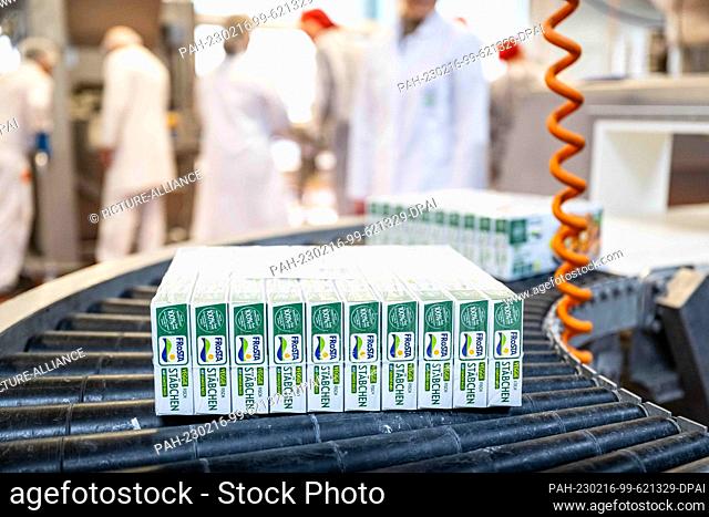 16 February 2023, Bremen, Bremerhaven: Frosta's new vegan vegetable-based fish sticks are packed at the factory. Frosta, the Bremerhaven-based frozen food...