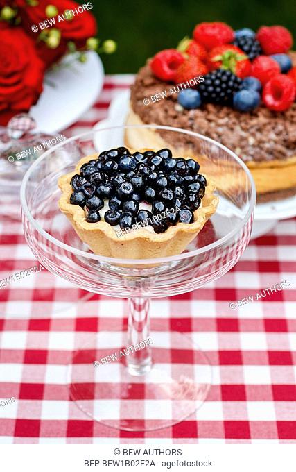 Blueberry tart, summer garden party