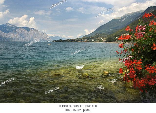View from Cassone di Malcesine to the North, Lake Garda, Veneto, Italy