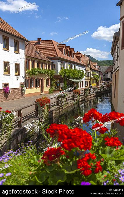 Water alley with the river Queich, Annweiler, Palatinate, Rhineland-Palatinate, Germany, Europe