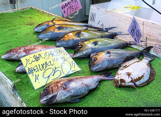 Tokyo Japan. Fish Market