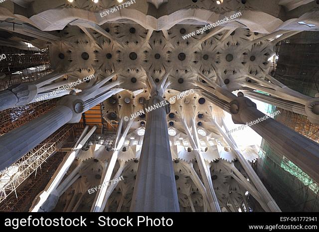Interior detail of the Sagrada Familia by Antonio Gaudi, Barcelona, Spain