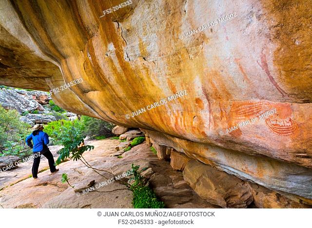 Ship figure, Salmanslaagte Bushman Rock Art Trail, Clanwilliam, Cederberg Mountains, Western Cape province, South Africa, Africa