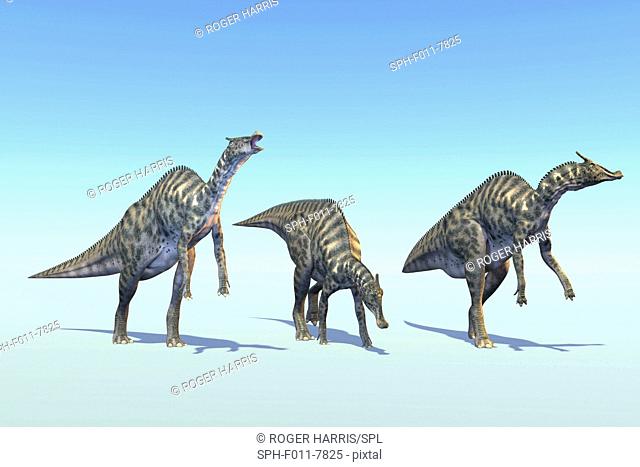 Saurolophus, computer illustration