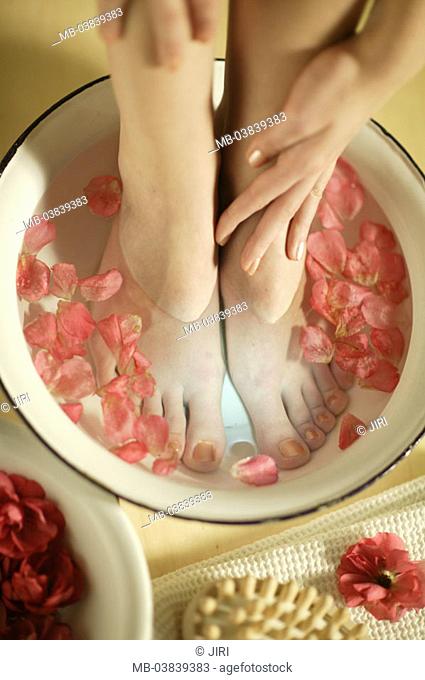 Woman, detail, feet, footbath,  Rose blooms,   Series, hand, hands, touch, legs, water bowl, bowl, water, roses, petals, personal hygiene, chiropody
