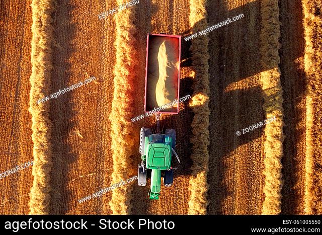 Agricultural machinery on the golden field. tractor during seasonal works in summer. Aerial shot. High quality photo