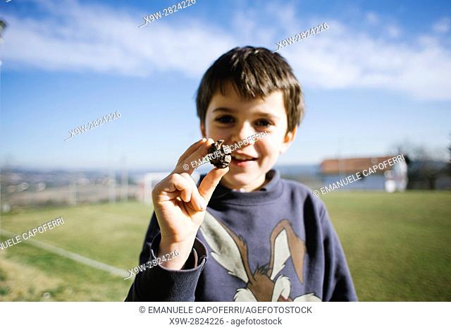 portrait of baby with pine cone in hand, bregano, italy