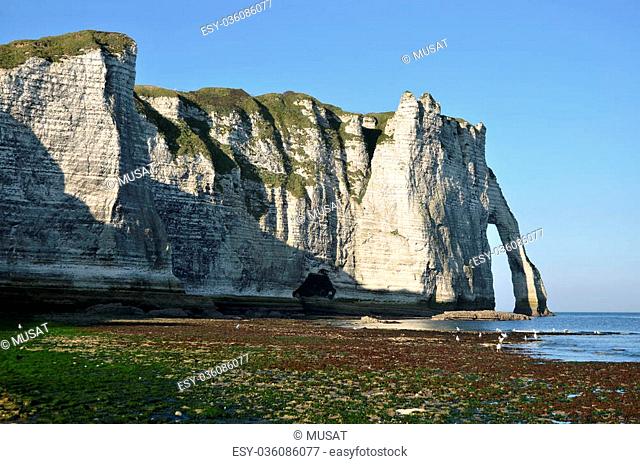Famous cliffs of Etretat at low tide. Etretat is a commune in the Seine-Maritime department in the Haute-Normandie region in northwestern France