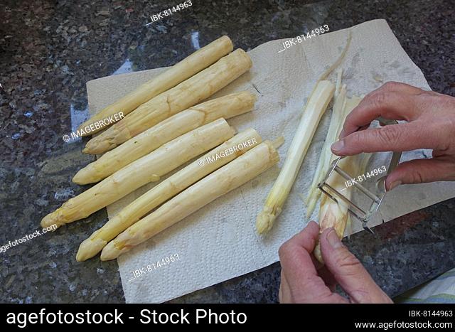 Baden cuisine, preparation of asparagus with scraping, white asparagus is peeled, peeling knife, asparagus knife, vegetables, healthy, vegetarian