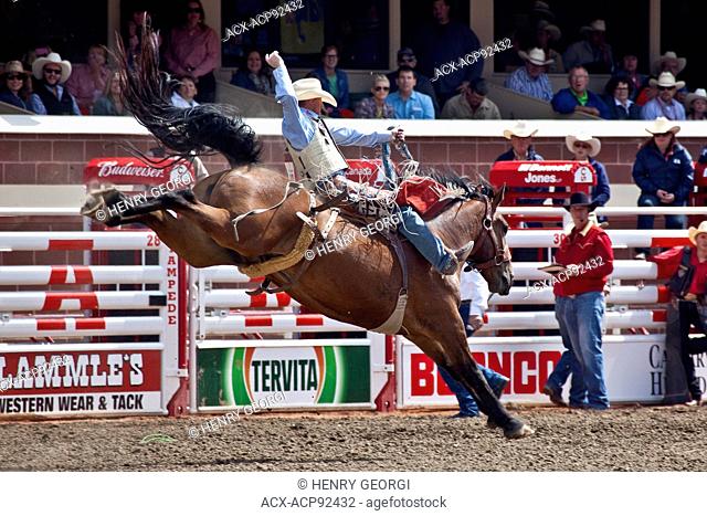 Rodeo, 2015 Calgary Stampede, Calgary, Alberta, Canada