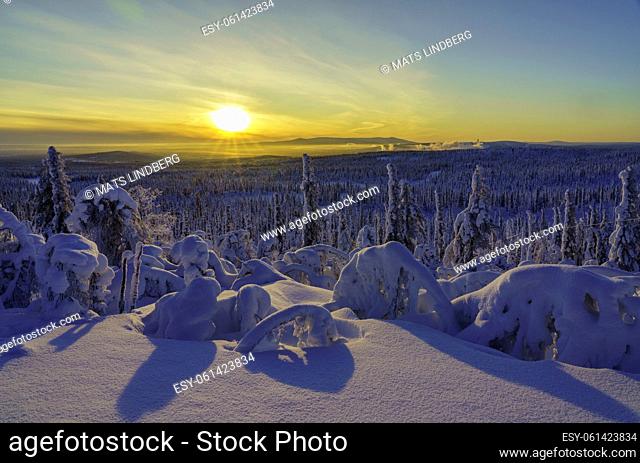 Winter landscape in direct light with plenty of snow on the trees, Gällivare county, Swedish Lapland, Sweden