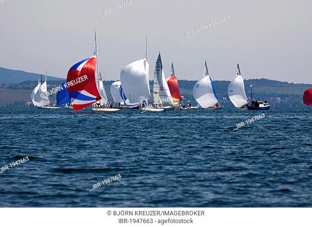 Sailing boats with set spinnakers at a regatta on Lake Constance, Konstanz, Baden-Wuerttemberg, Germany, Europe