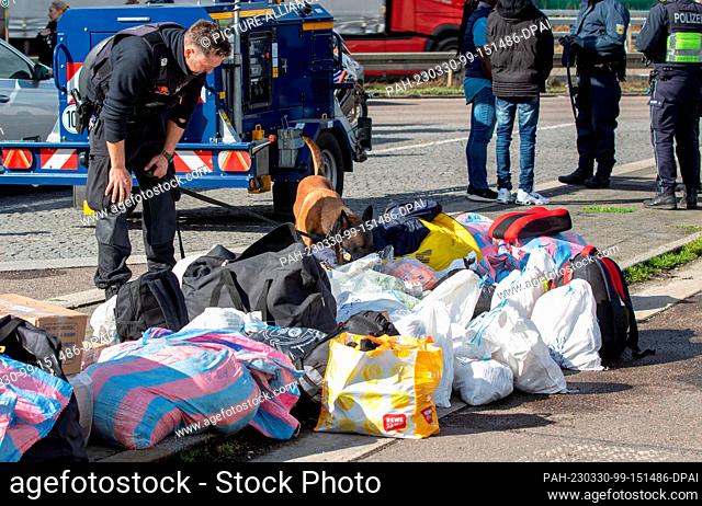 30 March 2023, North Rhine-Westphalia, Aachen: A police officer with a dog sniffs bags of travelers. In the German-Dutch-Belgian border region near Aachen