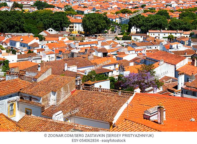 The view on the city residential houses surrounding the Cathedral (Se) of Evora from the roof of the church. Portugal