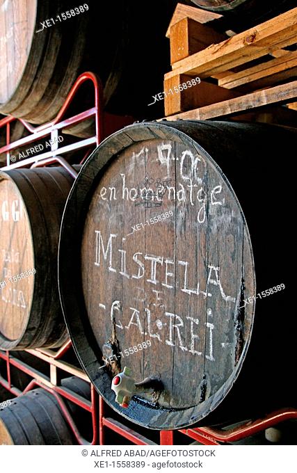oak barrel, Jaume Giro i Giro wineries, Sant Sadurni d'Anoia, Catalonia, Spain