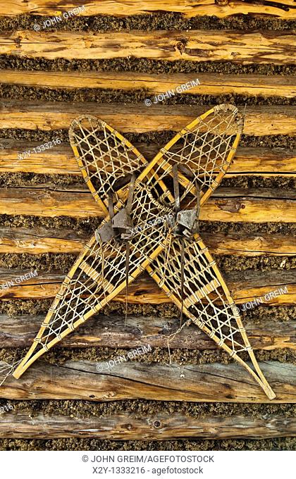 Traditional snow shoes worn by the Athabascan indians hanging on a log cabin wall, Chena Indian Village, Alaska